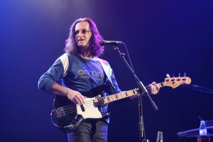 geddylee