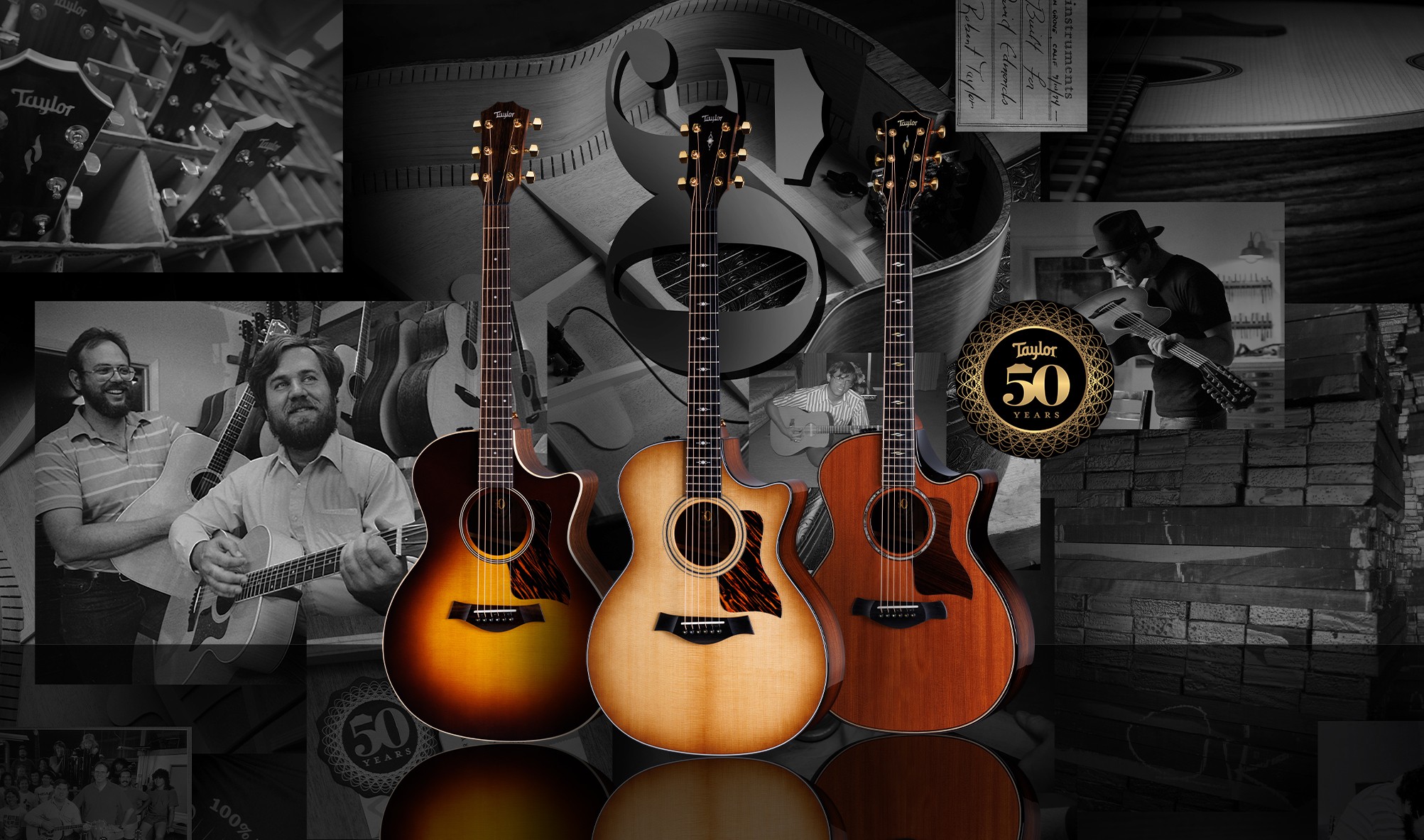 50 Ans De Taylor Guitars: Retour Sur Un Demi-Siècle De Succès